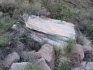 photo thumbnail #8