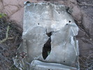 photo thumbnail #10