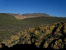 photo thumbnail #15
