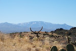 photo thumbnail #7