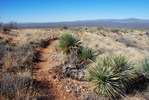 photo thumbnail #8