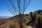 photo thumbnail #10