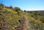 photo thumbnail #13