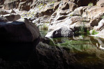 photo thumbnail #8