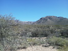 photo thumbnail #1
