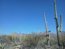 photo thumbnail #2