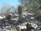 photo thumbnail #9