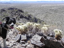 photo thumbnail #1