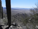 photo thumbnail #3