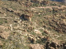 photo thumbnail #9