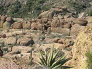 photo thumbnail #10