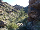 photo thumbnail #4