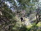 photo thumbnail #15