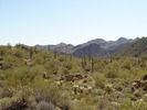 photo thumbnail #6