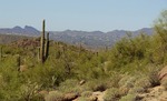 photo thumbnail #7