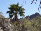photo thumbnail #10