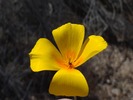 photo thumbnail #14