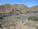 photo thumbnail #3