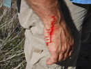 photo thumbnail #11