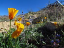 photo thumbnail #2