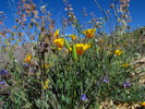 photo thumbnail #6