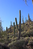 photo thumbnail #13