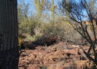 photo thumbnail #14