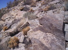 photo thumbnail #12