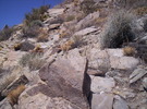 photo thumbnail #13