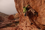 photo thumbnail #9