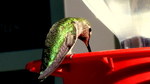 photo thumbnail #7