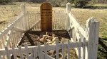 photo thumbnail #9
