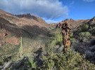 photo thumbnail #4