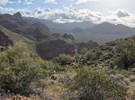 photo thumbnail #5