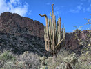 photo thumbnail #9