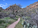 photo thumbnail #14