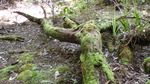 photo thumbnail #11