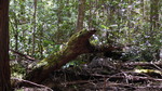 photo thumbnail #15