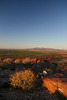 photo thumbnail #11