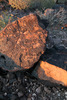 photo thumbnail #13