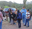 photo thumbnail #2