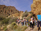 photo thumbnail #5