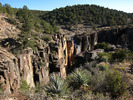 photo thumbnail #6