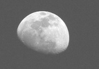 photo thumbnail #12