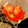 photo thumbnail #15