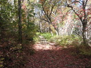 photo thumbnail #1