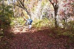 photo thumbnail #4