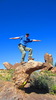 photo thumbnail #11