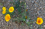 photo thumbnail #14