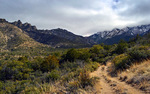 photo thumbnail #5